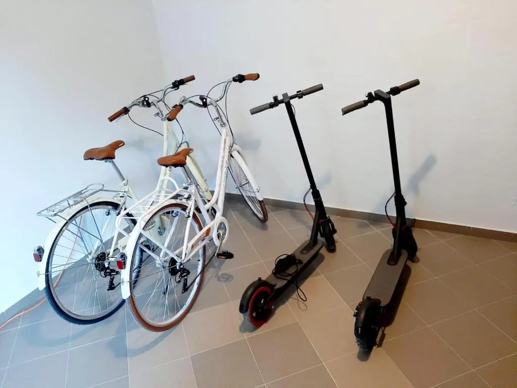 img_id_1618345.webp