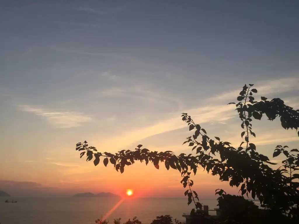 img_id_543445.webp