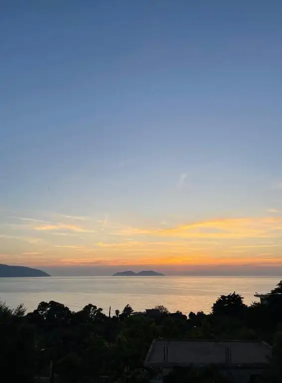 img_id_543450.webp