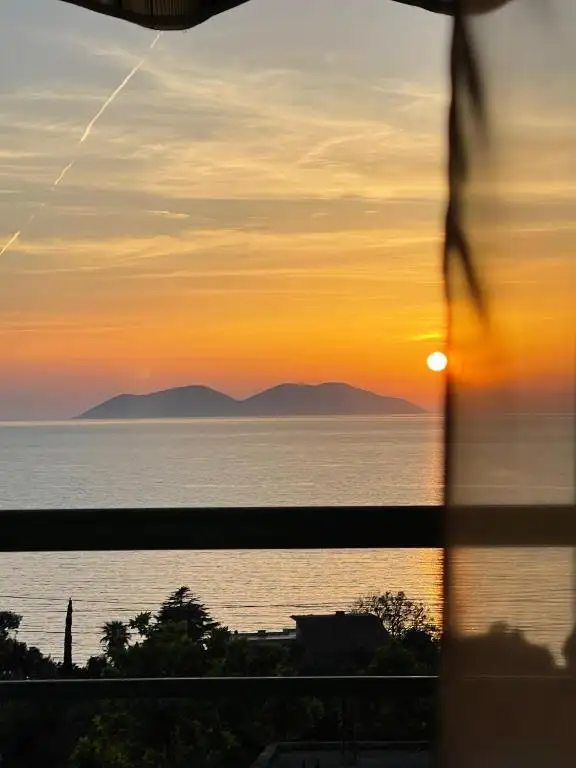 img_id_543461.webp