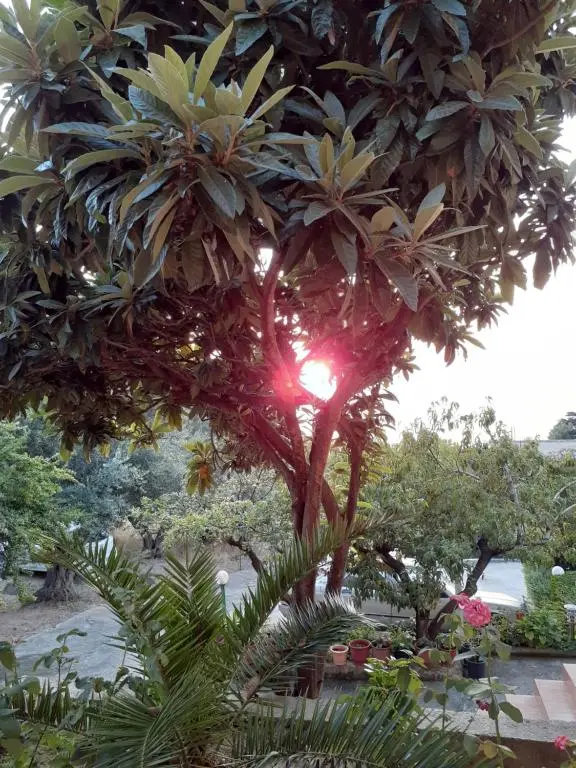 img_id_870060.webp