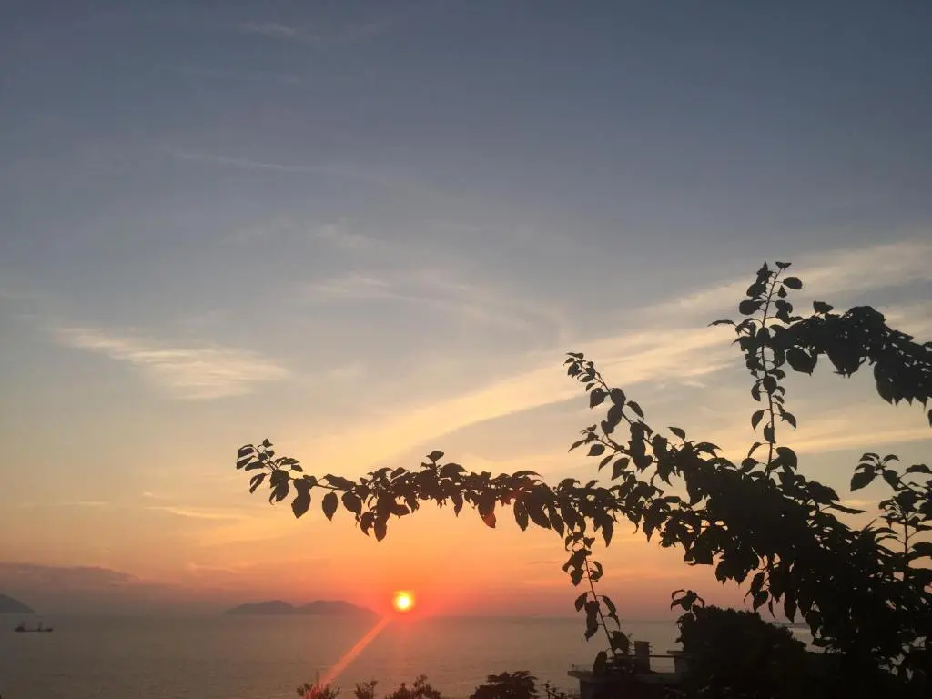 img_id_870067.webp