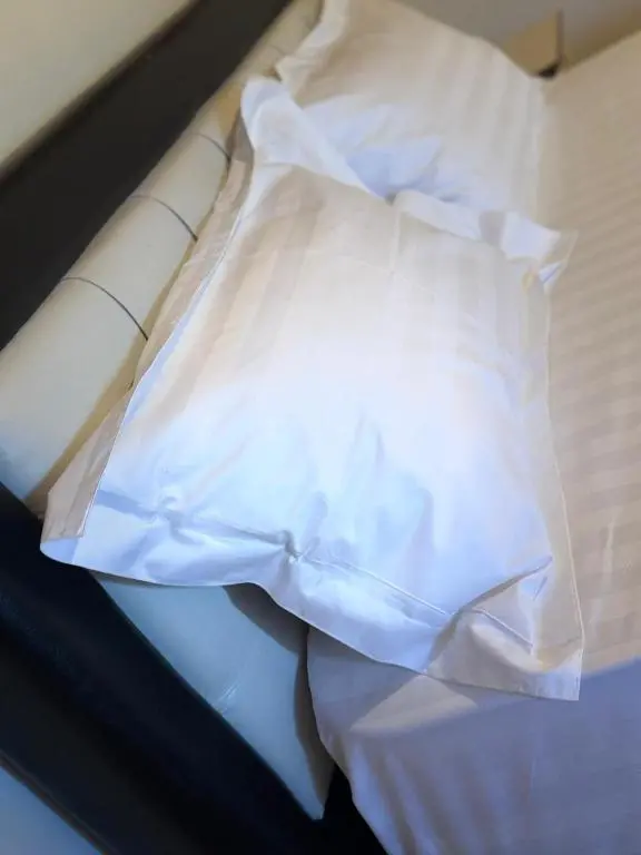 img_id_872320.webp