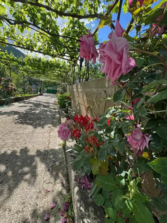 img_id_872363.webp