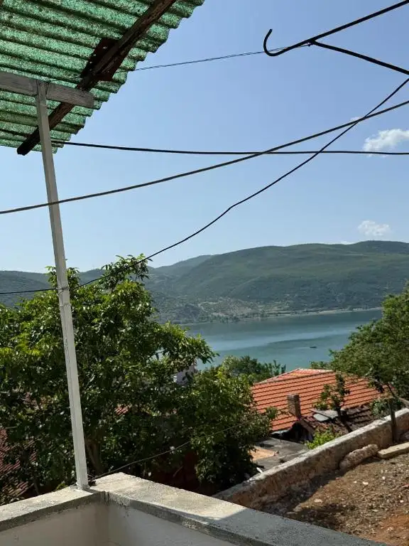img_id_545252.webp