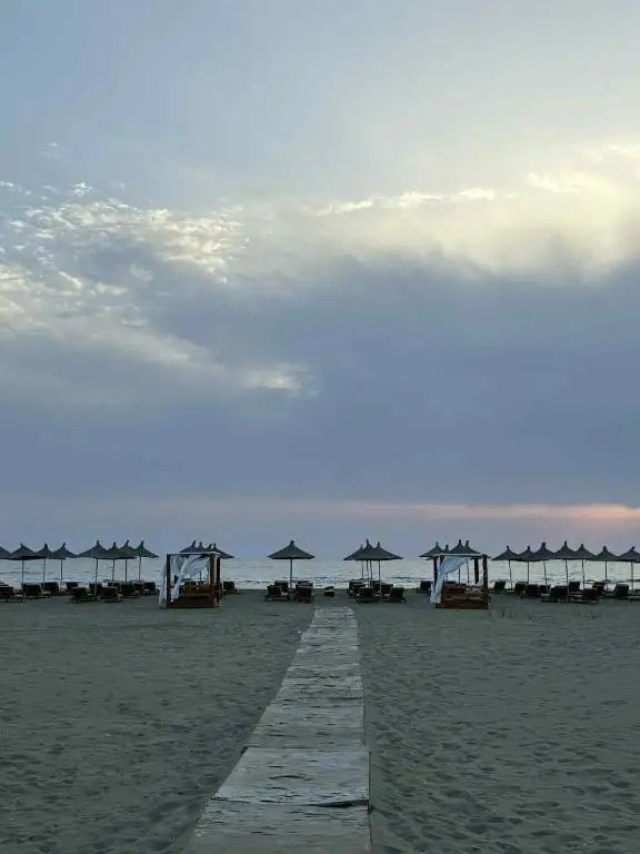 img_id_544838.webp