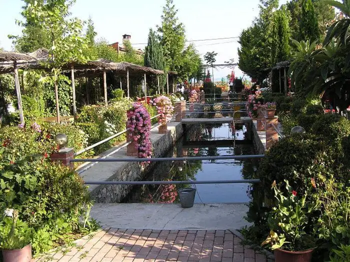 img_id_545030.webp