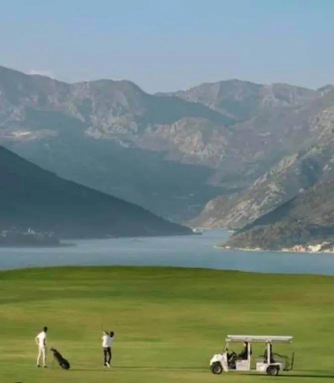 img_id_1545298.webp