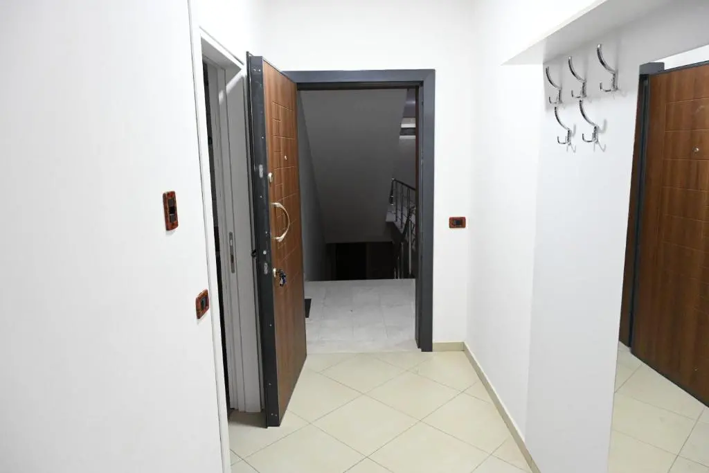 img_id_868377.webp