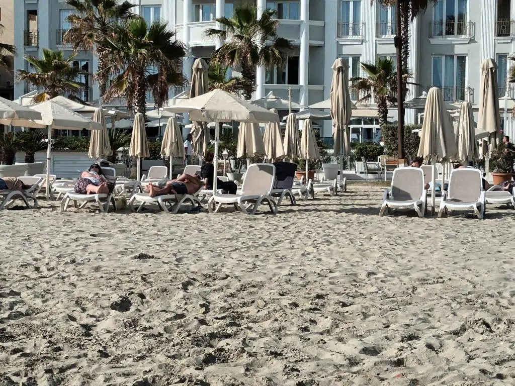 img_id_874389.webp