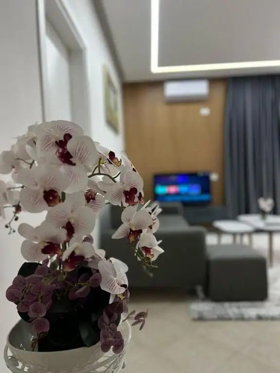 img_id_557128.webp