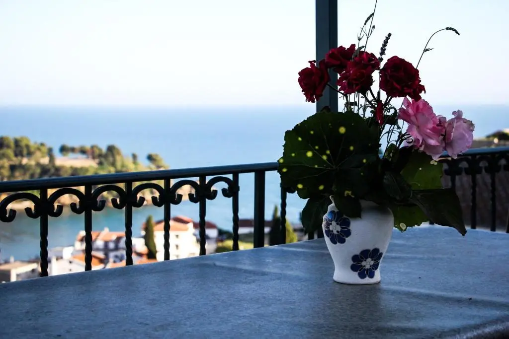 img_id_2198945.webp