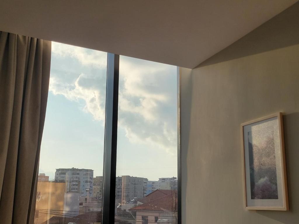 img_id_870259.jpg