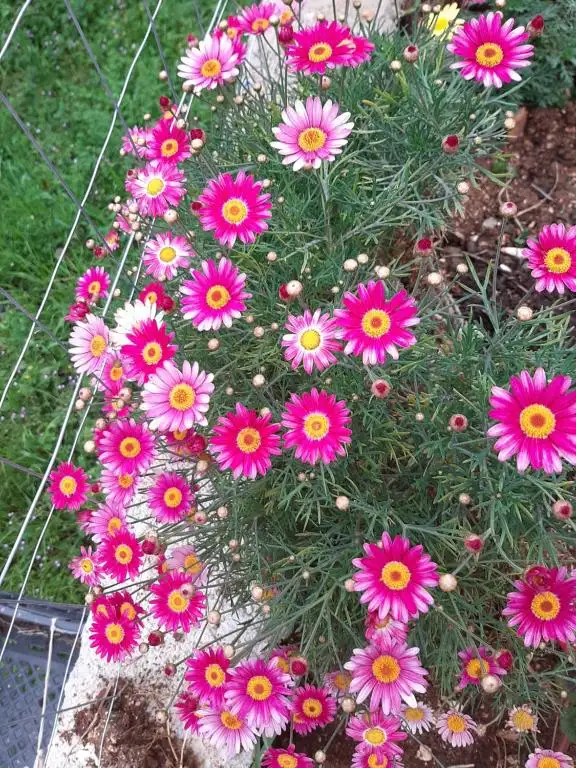 img_id_696225.webp
