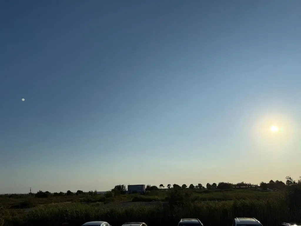 img_id_697384.webp