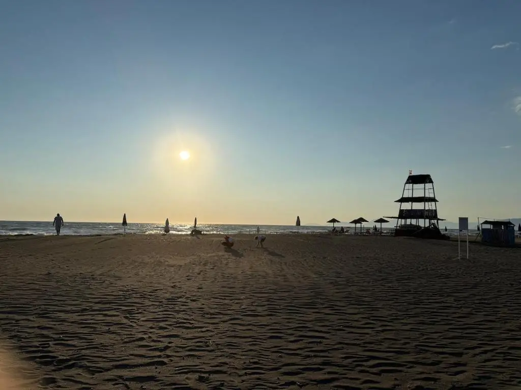 img_id_697385.webp