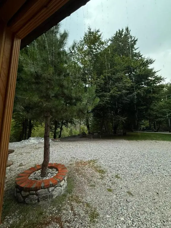img_id_698360.webp