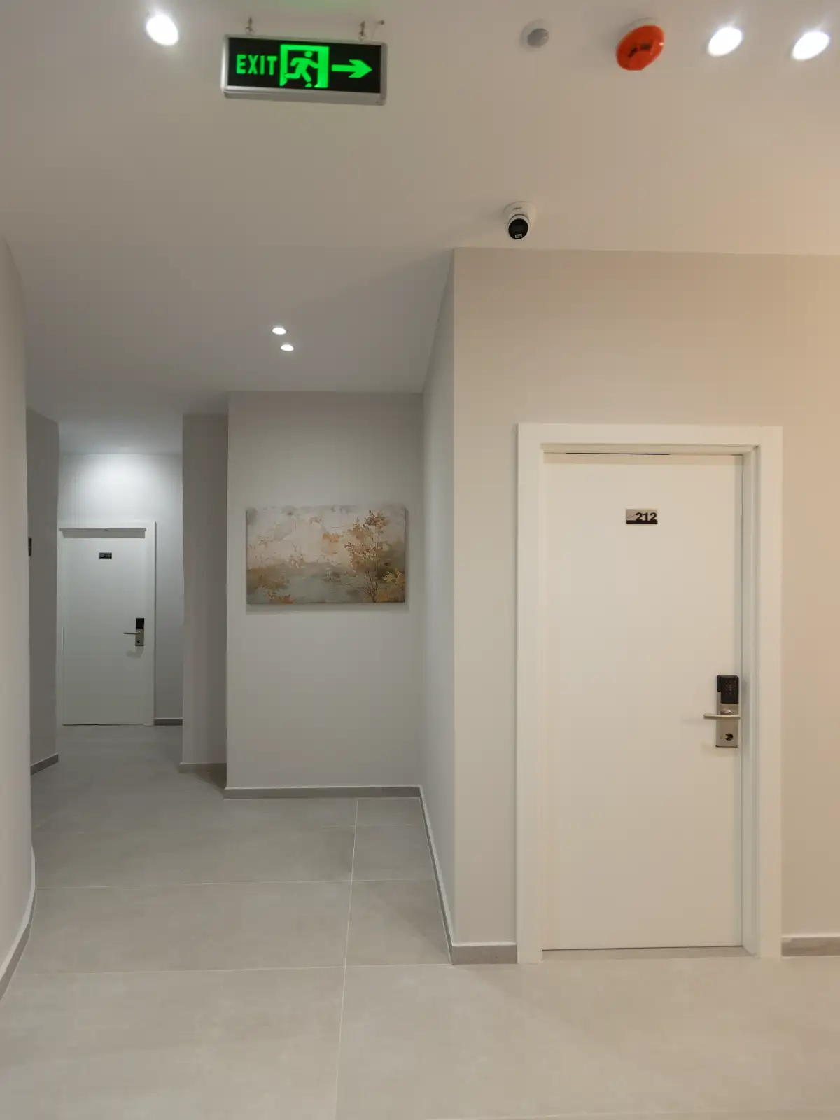 img_id_700066.webp