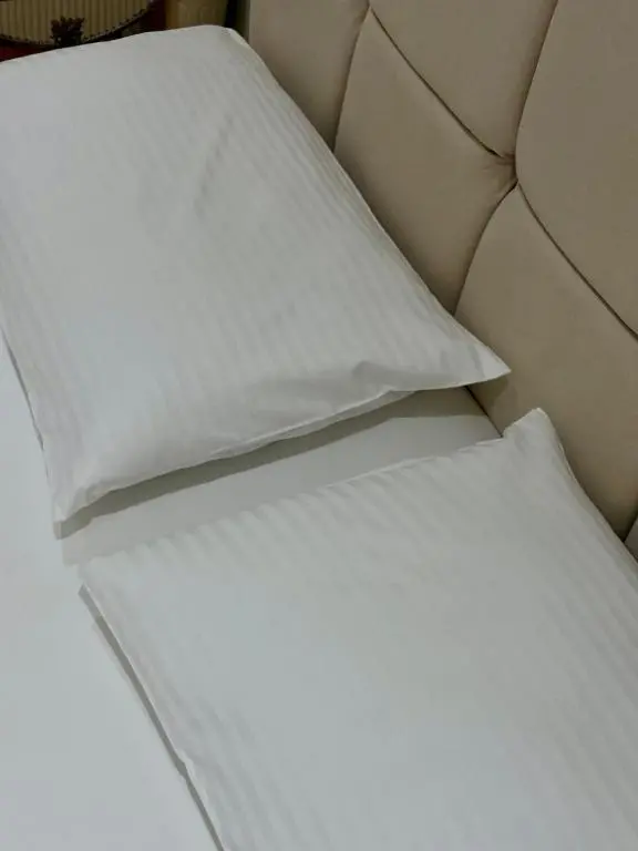 img_id_700781.webp