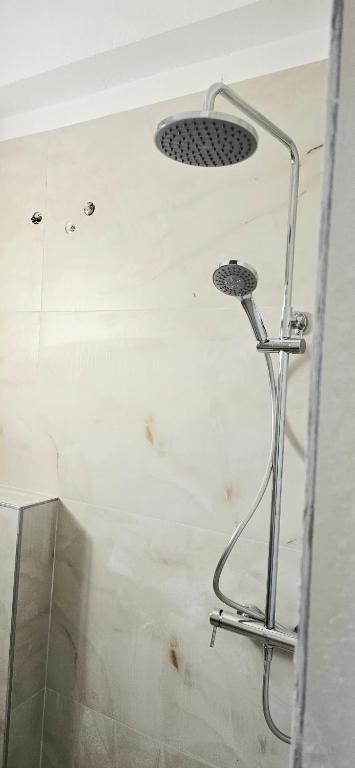 img_id_864695.jpg