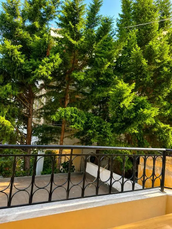 img_id_703344.webp