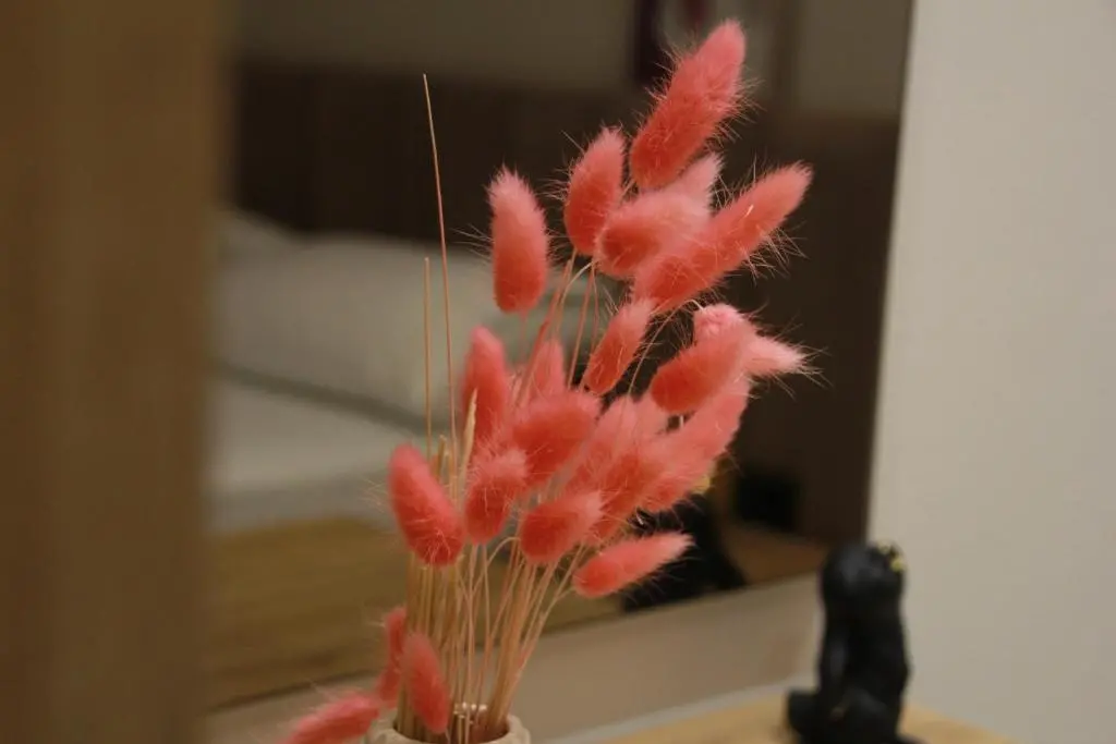img_id_704163.webp