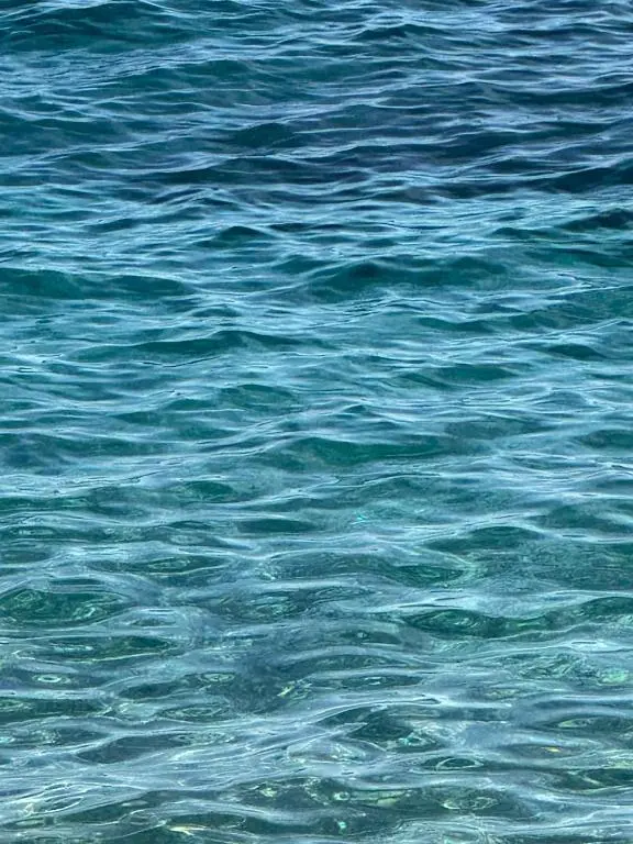 img_id_705394.webp