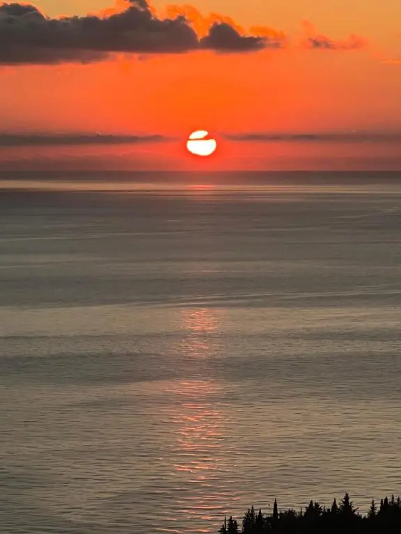 img_id_856156.webp