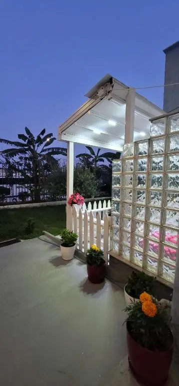 img_id_859741.webp