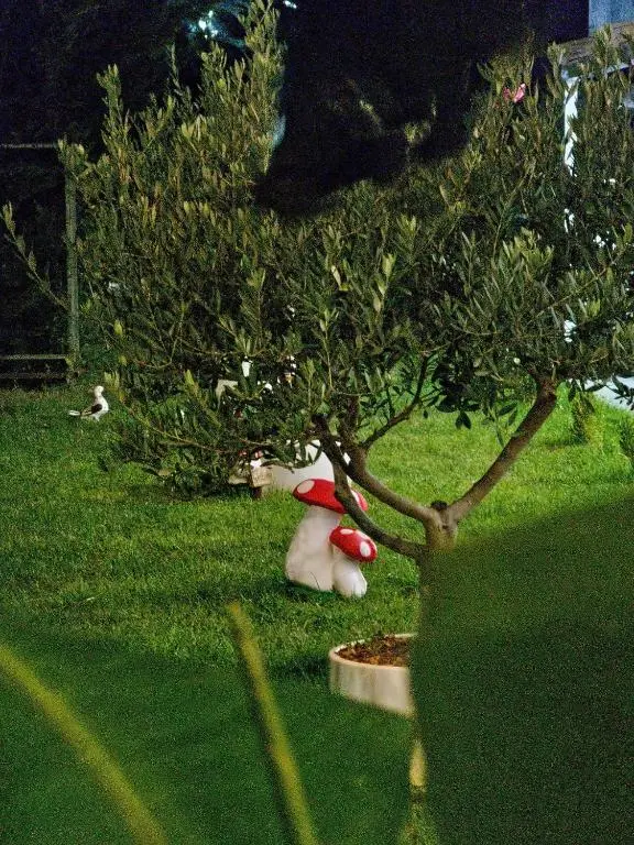 img_id_859771.webp