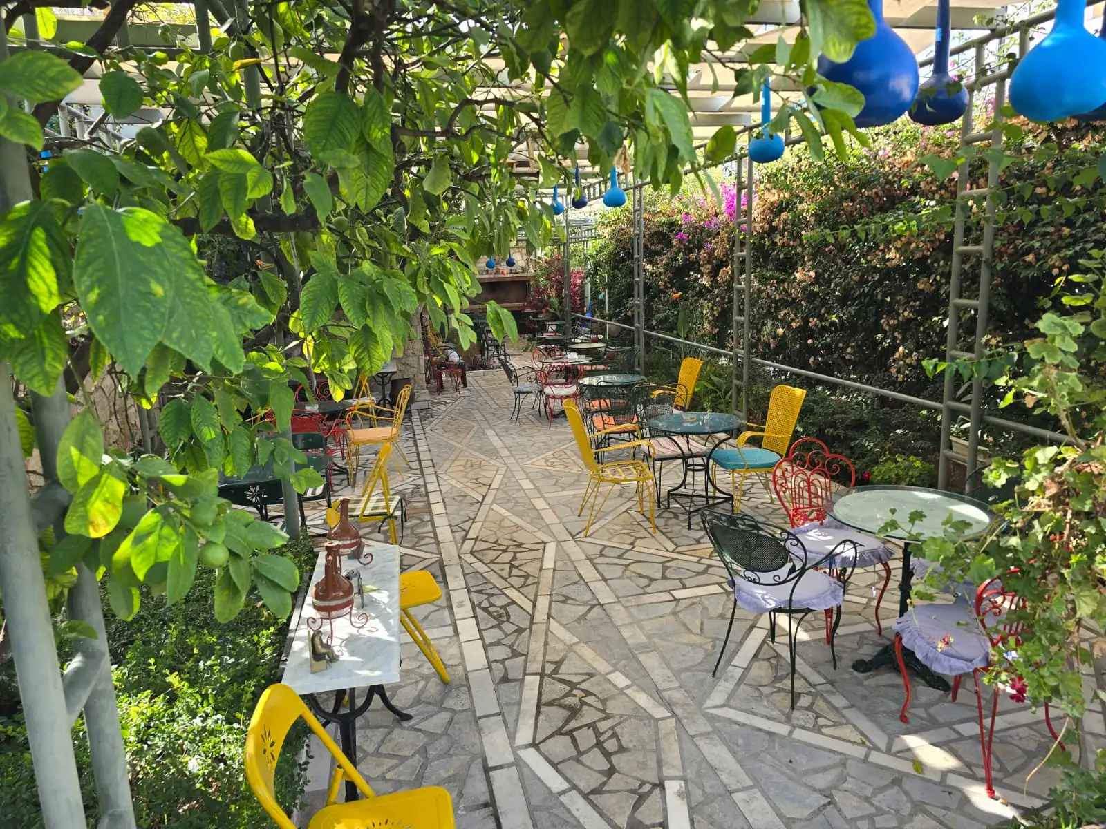 img_id_707245.webp