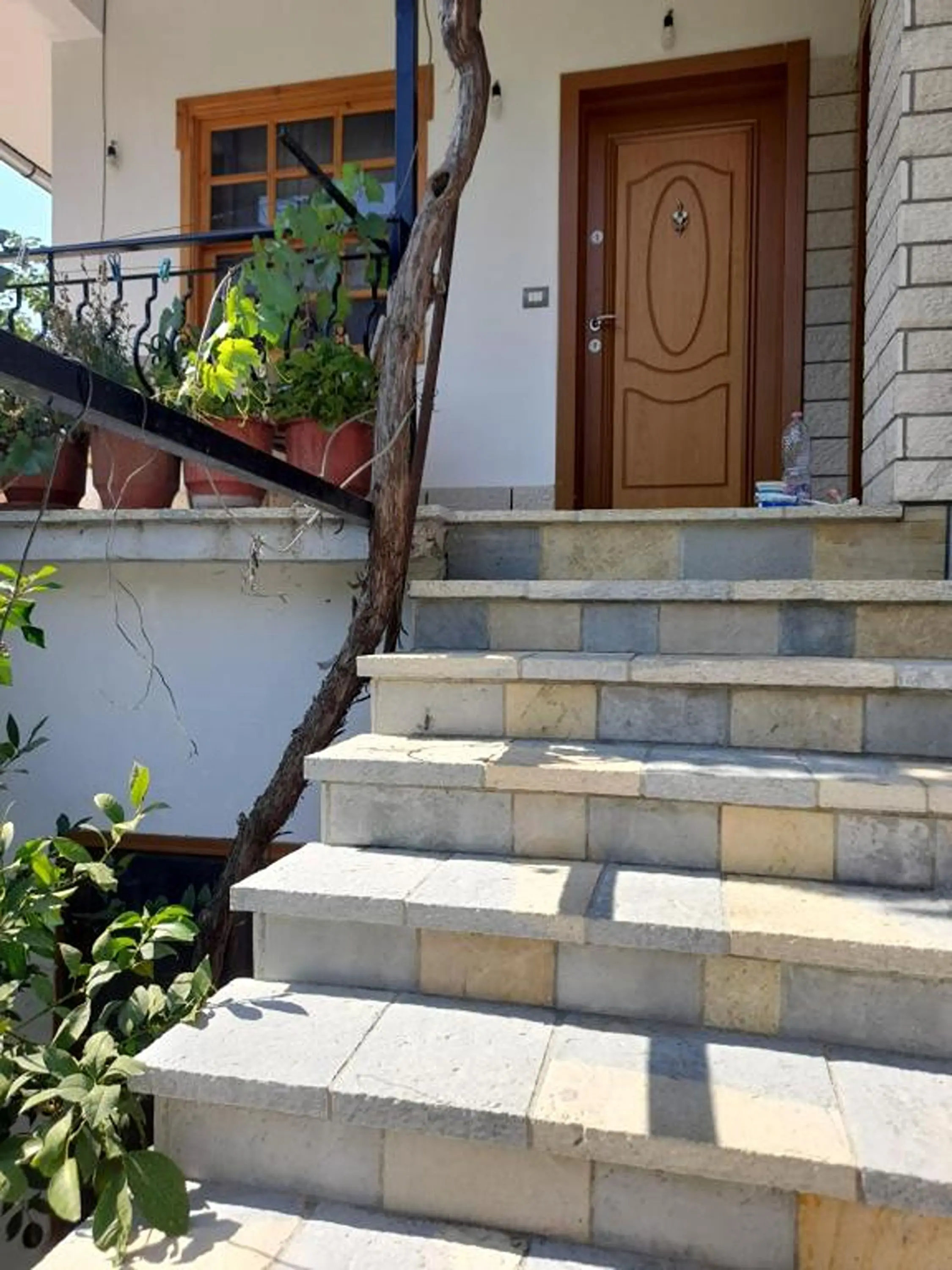 img_id_707423.webp