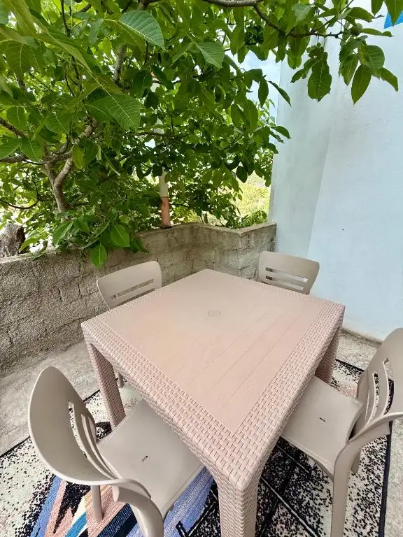 img_id_707913.webp