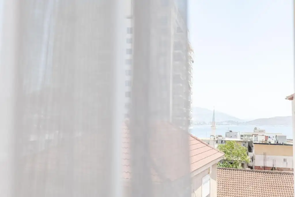 img_id_707943.webp