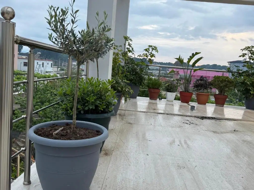 img_id_708716.webp