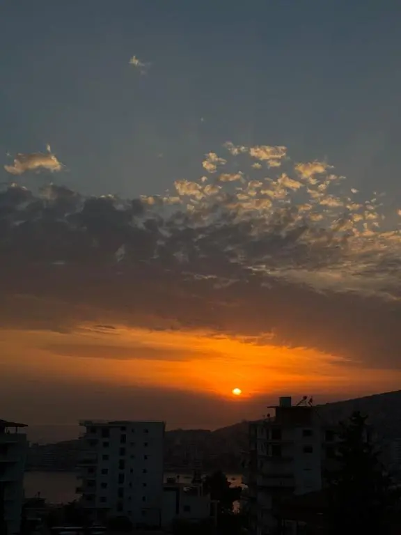 img_id_1179804.webp