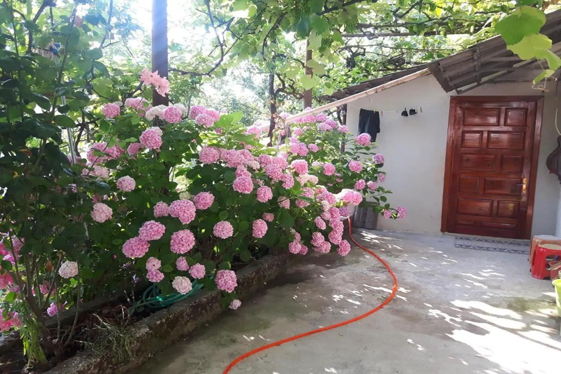 img_id_708978.webp