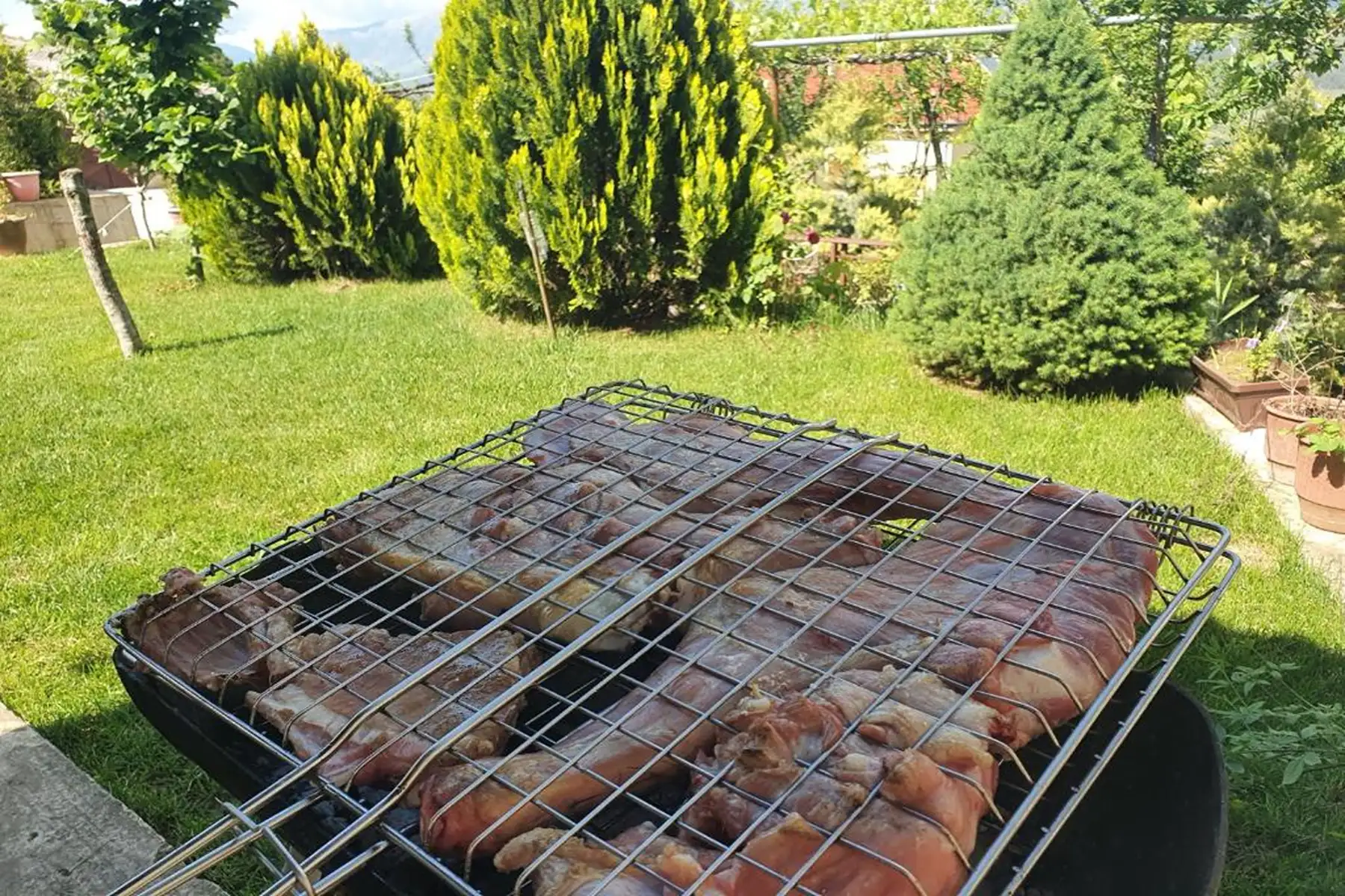 img_id_708980.webp