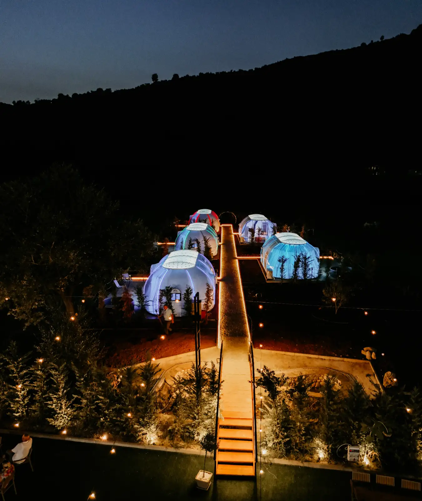 img_id_710995.webp