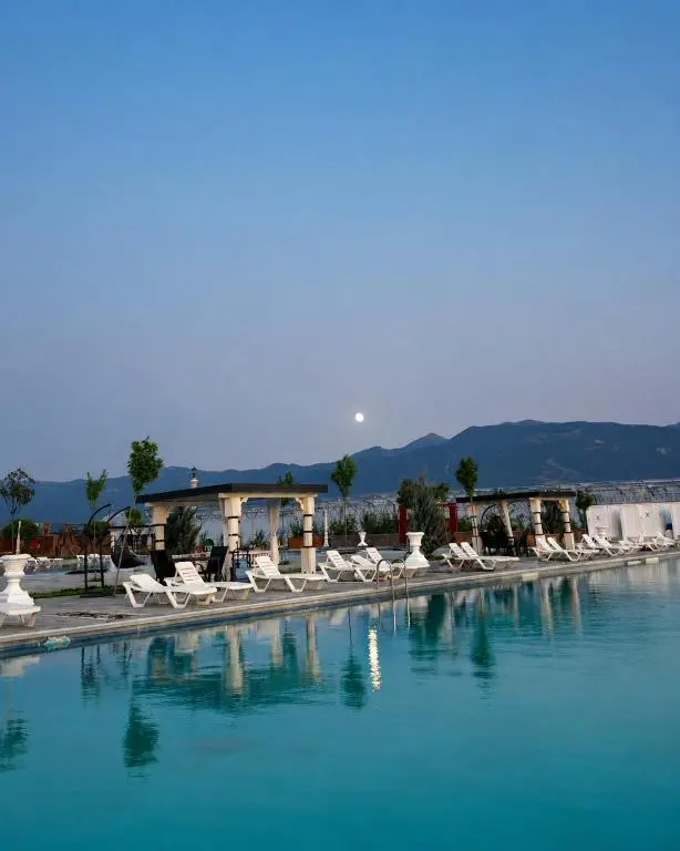 img_id_712026.webp