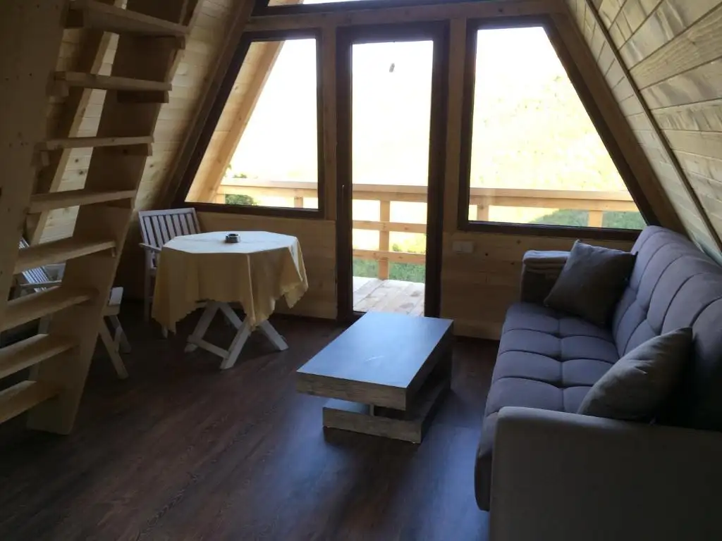img_id_712484.webp