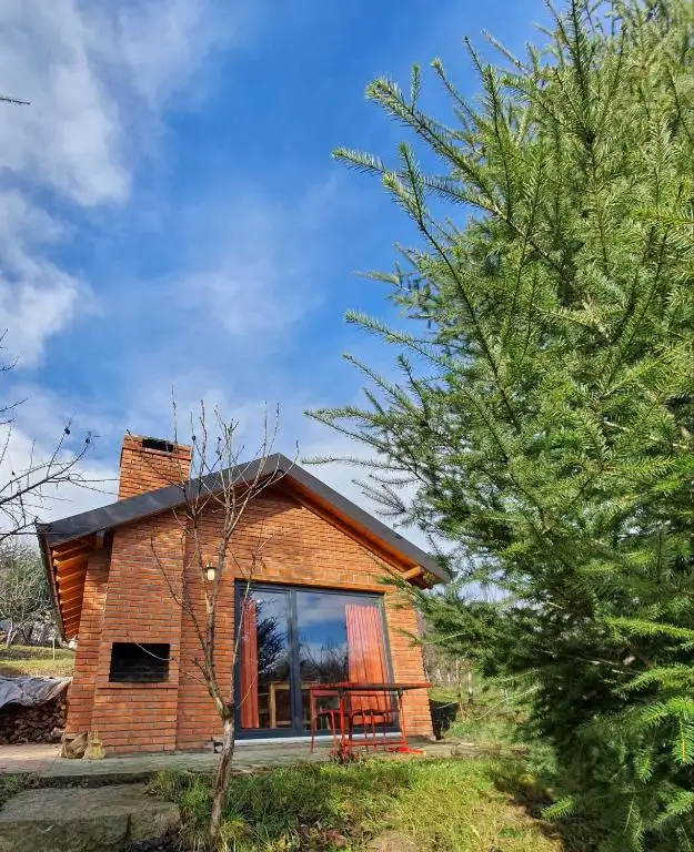 img_id_712606.webp
