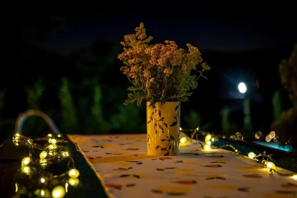 img_id_712689.webp