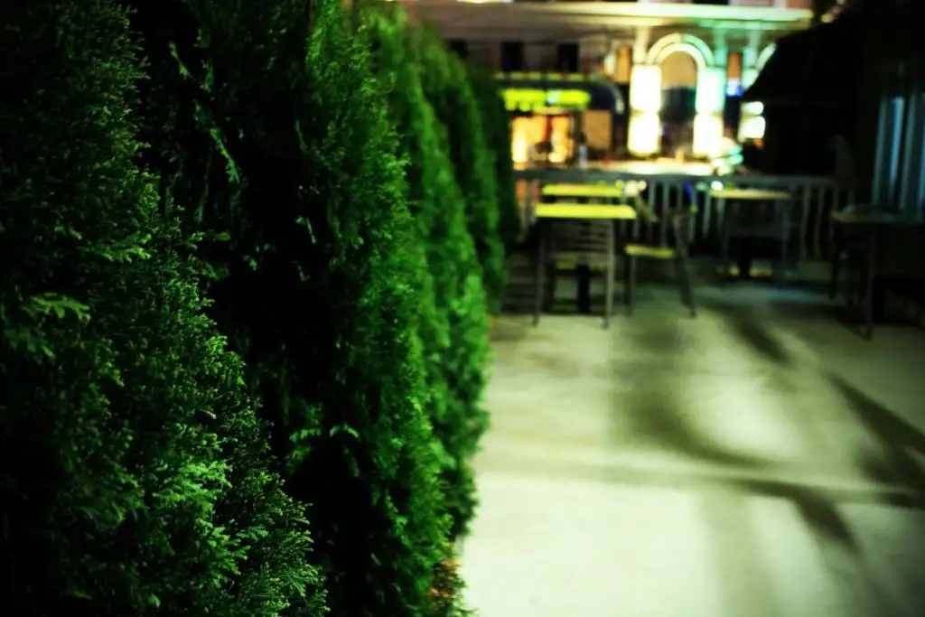 img_id_714243.webp
