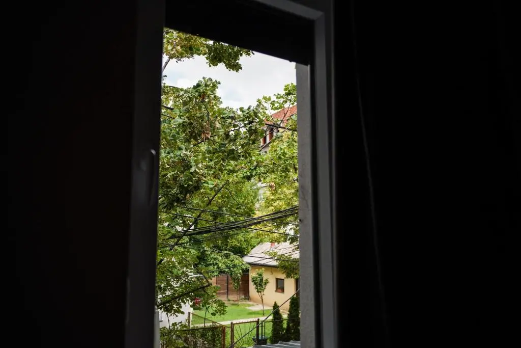 img_id_833605.webp