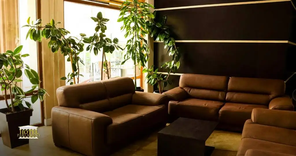 img_id_715738.webp