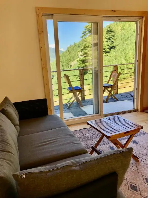 img_id_716027.webp