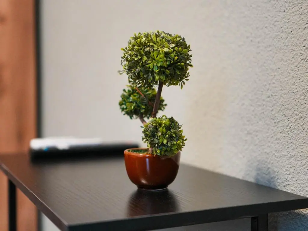 img_id_716476.webp