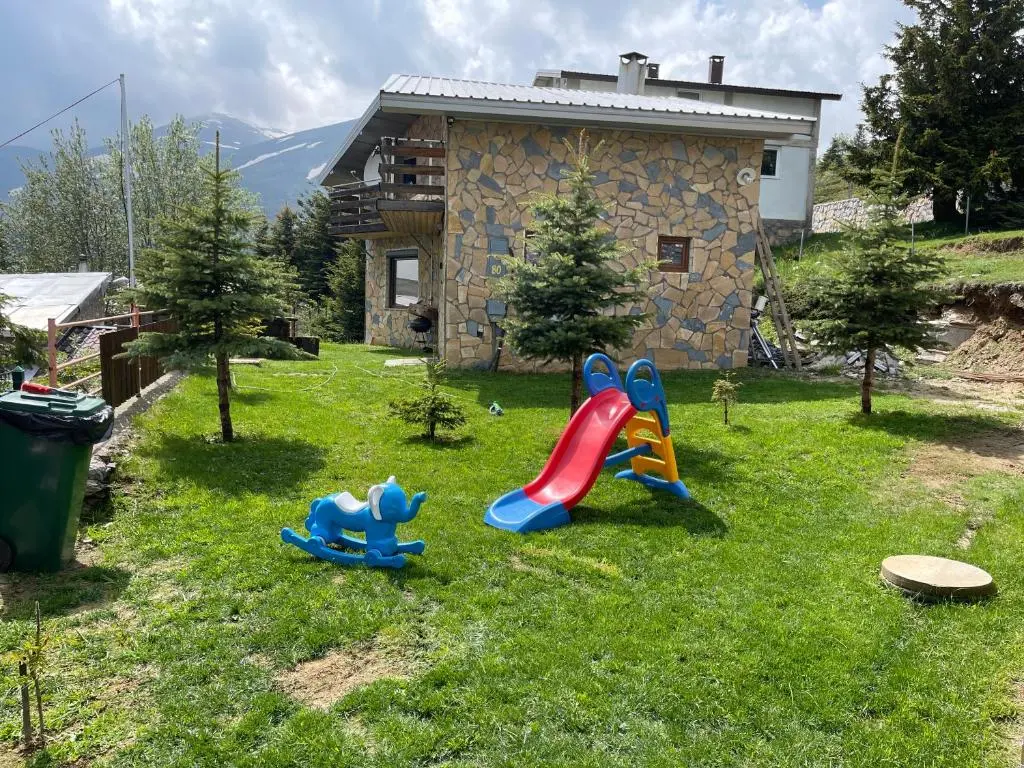 img_id_717859.webp