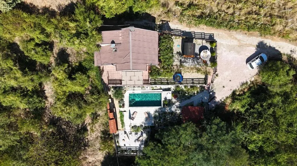 img_id_718373.webp